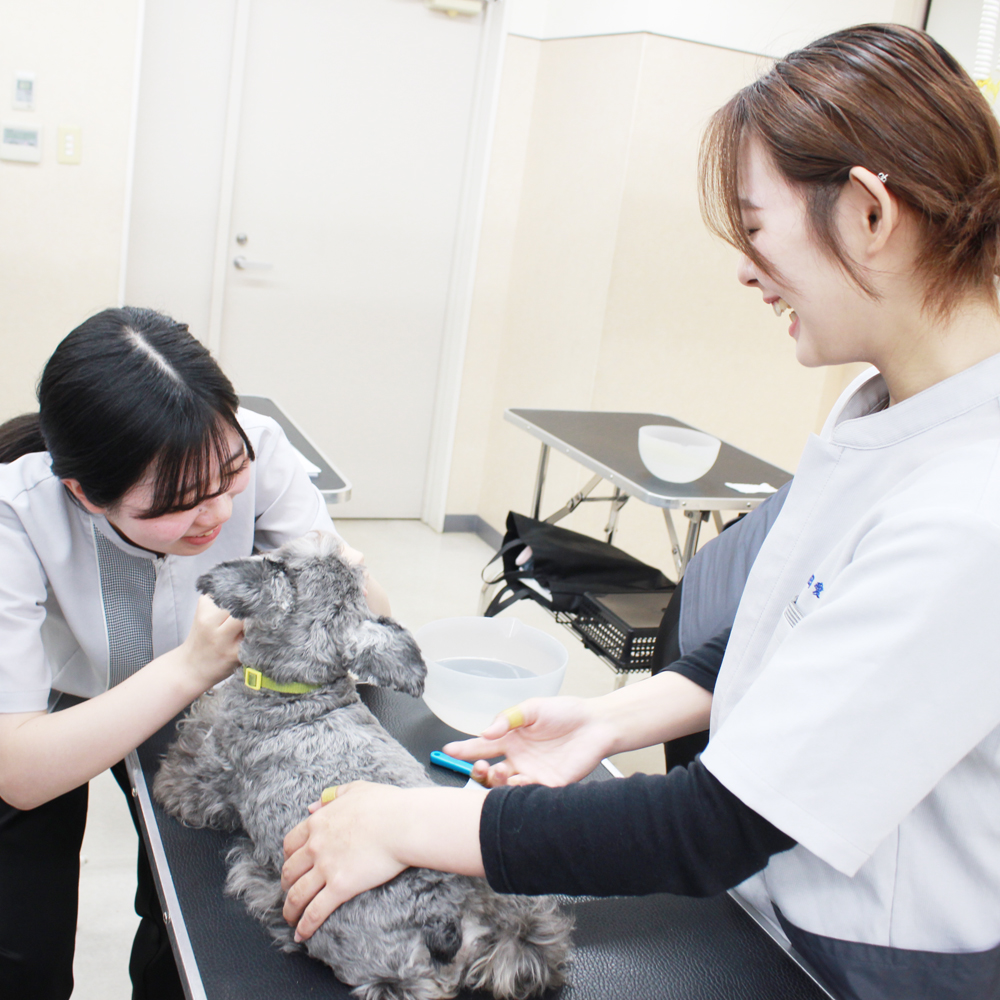 歯みがきは継続が大事！